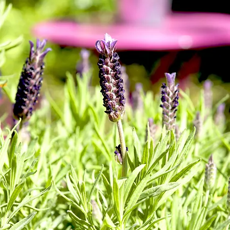 Отель Elba Am Kurfuerstendamm - Design Chambers Берлин