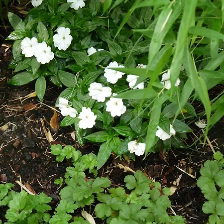 Elba Am Kurfuerstendamm - Design Chambers Hotel 3*