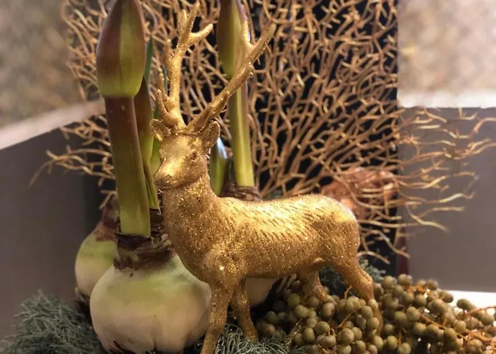 Elba Am Kurfuerstendamm - Design Chambers Hotel