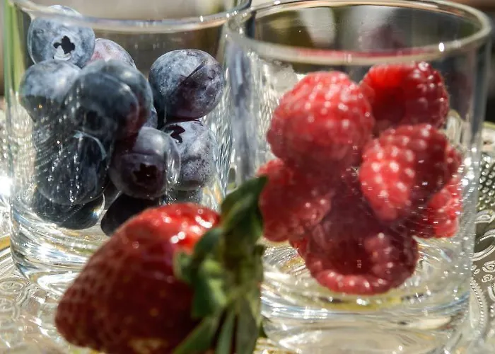 Hotel Elba Am Kurfuerstendamm - Design Chambers