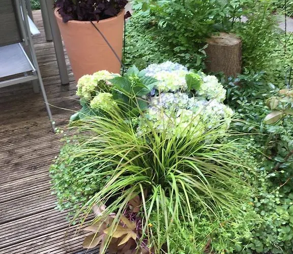 Elba Am Kurfuerstendamm - Design Chambers Hotel Berlim