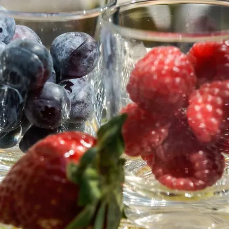 Hotel Elba Am Kurfuerstendamm - Design Chambers