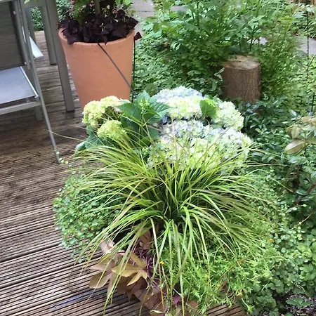 Elba Am Kurfuerstendamm - Design Chambers Hotel Berlin