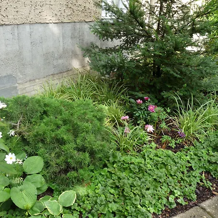 Elba Am Kurfuerstendamm - Design Chambers 3* Berlino