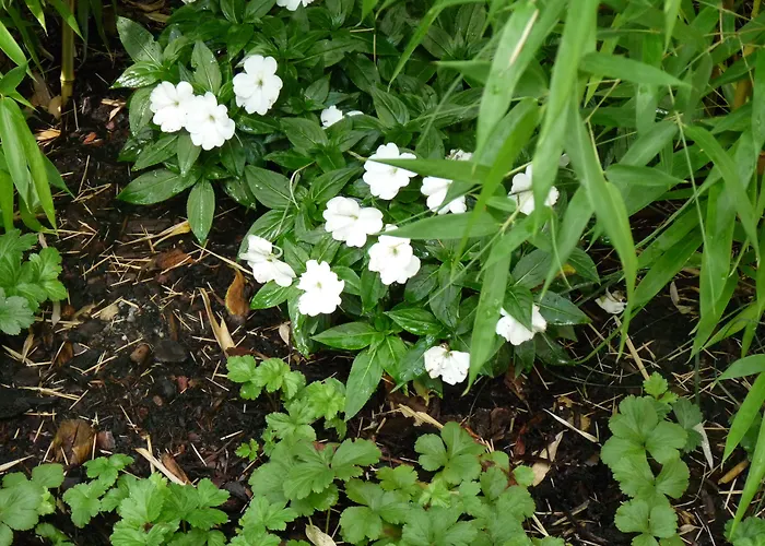 Elba Am Kurfuerstendamm - Design Chambers Otel 3*