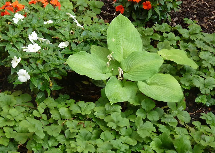 Elba Am Kurfuerstendamm - Design Chambers 3* Berlino